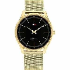 Analóg karórák Tommy Hilfiger 1710469 kép