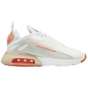 Divat edzőcipők Nike Air Max 2090 kép