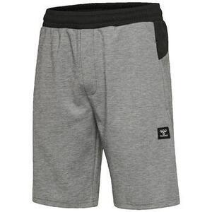 Rövidnadrágok hummel Short Tropper Gris kép