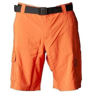 Rövidnadrágok Columbia Short Silver Ridge Utility kép