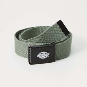 Övek Dickies Dk0a4x7el191 kép