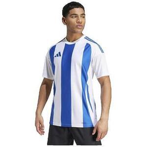 Fürdőruhák adidas Striped 24 Player kép