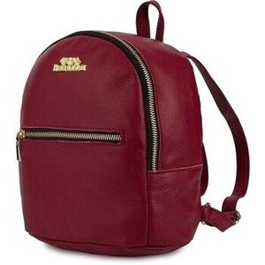 Hátitáskák Beltimore krap25bordo kép