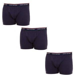 Boxerek Tommy Hilfiger UM0UM00010-409 kép
