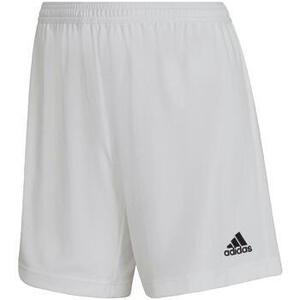 Rövidnadrágok adidas Entrada 22 kép