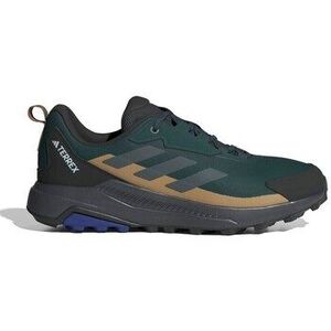 Divat edzőcipők adidas Terrex kép