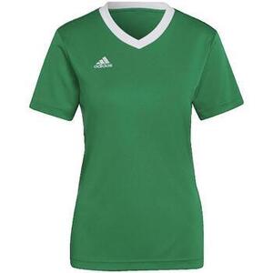 Fürdőruhák adidas Entrada 22 kép