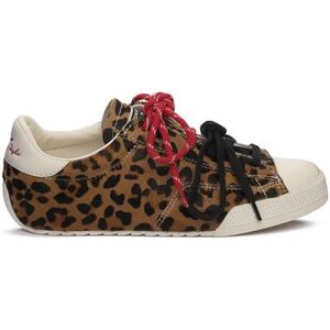 Divat edzőcipők Converse CHUCK TAYLOR LO LEOPARD kép