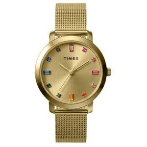 Analóg karórák Timex ty576210 kép
