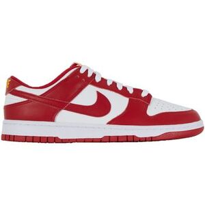 Divat edzőcipők Nike Dunk Gym kép