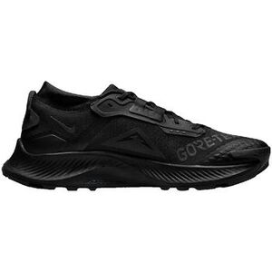 Multisport Nike Pegasus 3 Gtx kép