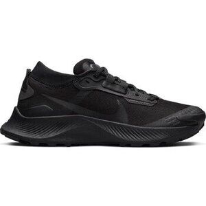 Futócipők Nike Pegasus Trail 2 Gtx kép
