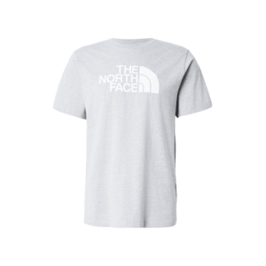 THE NORTH FACE Póló 'EVOLUTION HALF DOME' szürke / fehér kép