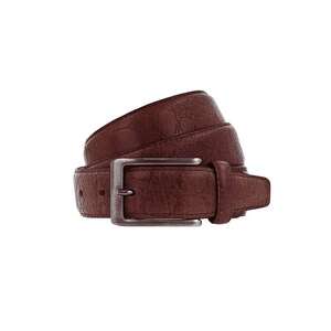 VANZETTI Övek barna kép
