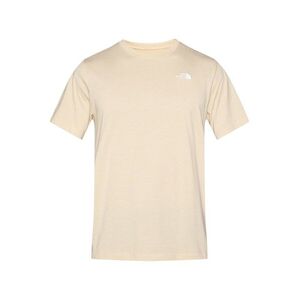 THE NORTH FACE Póló 'Evolution Simple Dome' taupe kép