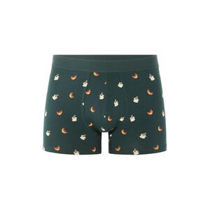 Celio Pibocoffe boxeralsó kép