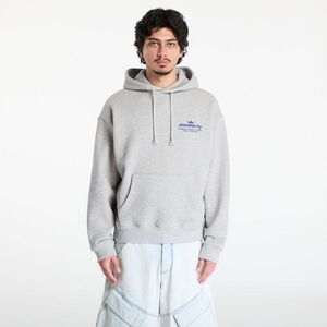 Sweatshirt Awake NY Good Everywhere Pullover Hoodie Heather Gray M kép