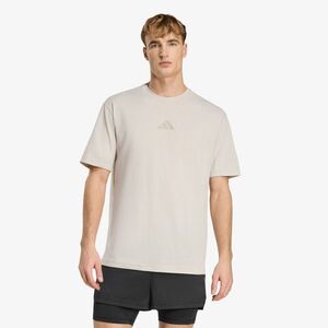 Póló adidas Terrex Xploric Climacool+ Trail T-Shirt Wonder Alumina XL kép