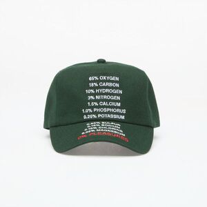 Cap PLEASURES Atmosphere Snapback Forest Universal kép