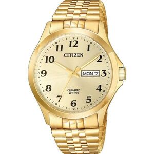 Citizen Quartz BF5002-99P kép