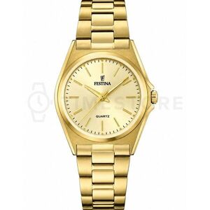 Festina Classics 20557/3 kép