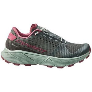 Trail Dynafit Chaussures de trail running Ultra 100 Gore-Tex gris kép