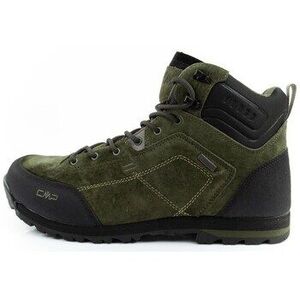 Trail Cmp Alcor kép
