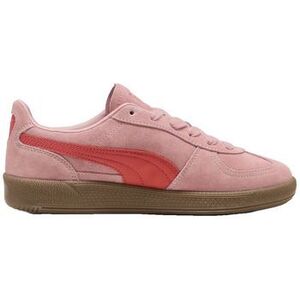 Divat edzőcipők Puma Baskets Select Palermo cuir kép